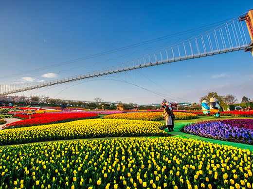 成都曼花莊園景區(qū)-浙江鵬鳴游樂(lè)設(shè)備有限公司